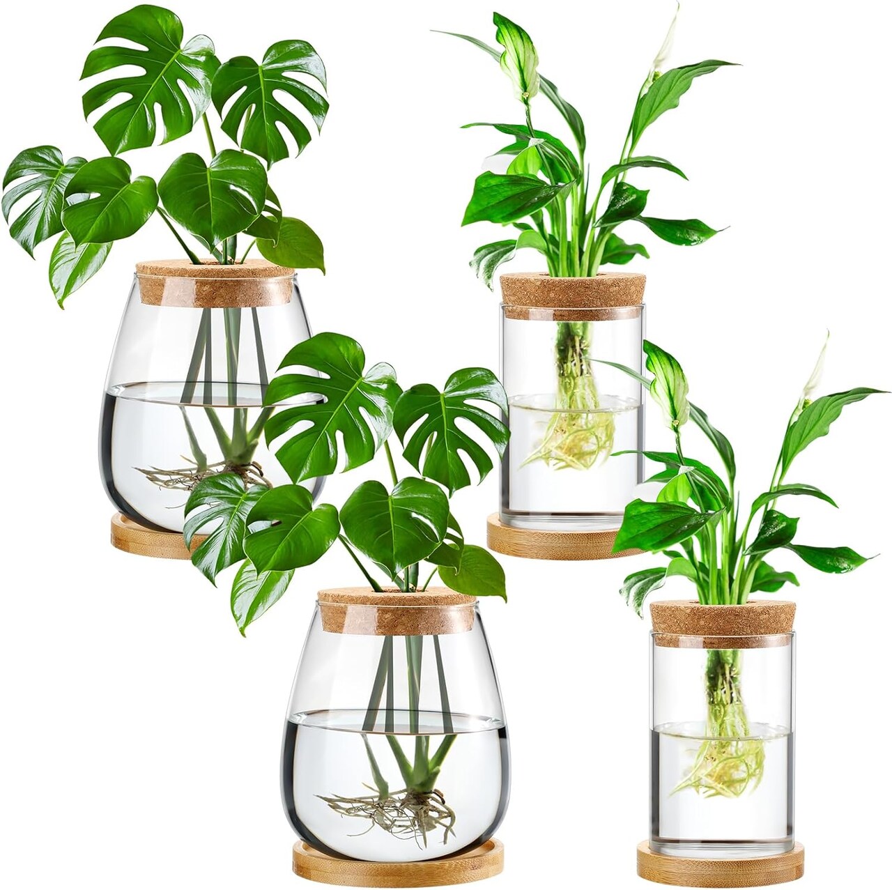 4 Pack Glass Plant Propagation Stations with Wooden Lid & Bamboo Stand – Hydroponic Small Potted Plant Vases for Desk, Home & Office Decor